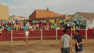 Fiestas del Santísimo Villares de la Reina: Vaquillas