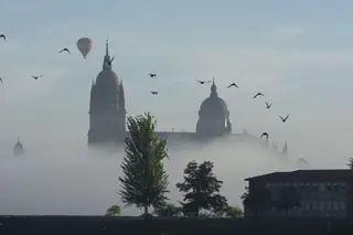 2o premio adultos Desde mi casa