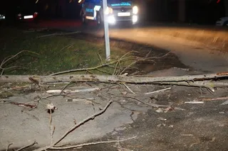 El fuerte viento obliga a acordonar preventivamente la zona de la chopera de La Aldehuela y la entrada lateral del rastro