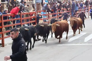 Encierro de martes en el Carnaval del Toro de Ciudad Rodrigo 2026 | Mateo G.J.