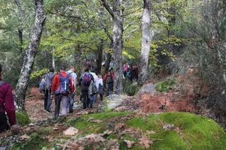Concluye la cuarta edición del programa de Naturaleza Escondida 2022 con la ruta al paraje de La Torrita