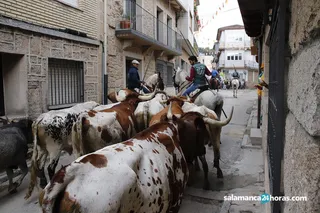 Encierro aldeadavila 135
