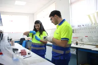 Personal técnico implicado en el desarrollo y seguimiento de los proyectos demostrativos