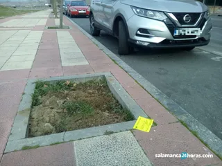 Accidente Luis Sala Balust 6