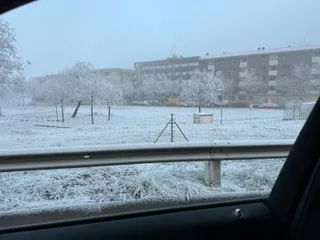 Cencellada en Salamanca