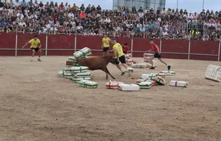 Mini bueyes y Gran Prix en Carbajosa | Imágenes Ayuntamiento de Carbajosa de la Sagrada