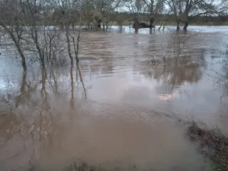 Río Huebra desbordado a su paso por Pelarrodríguez. Foto de archivo