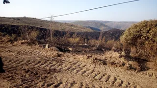 Labores de perimetración en el incendio de La Fregeneda. FOTOS 24H