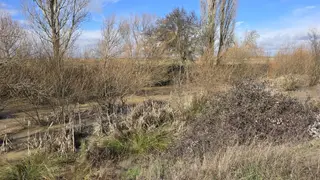 Rio Almar en Alconada (2)