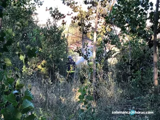 Incendio forestal alba (3)
