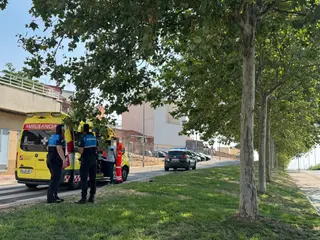 Atropello en Salamanca, en la salida a Villamayor por Pizarrales