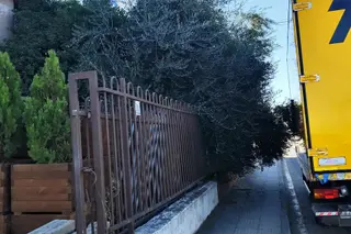 Arbusto invadiendo una acera pública en Salamanca