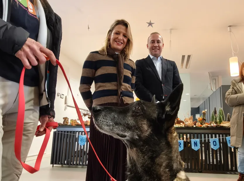 Talleres escolares de tenencia responsable de animales