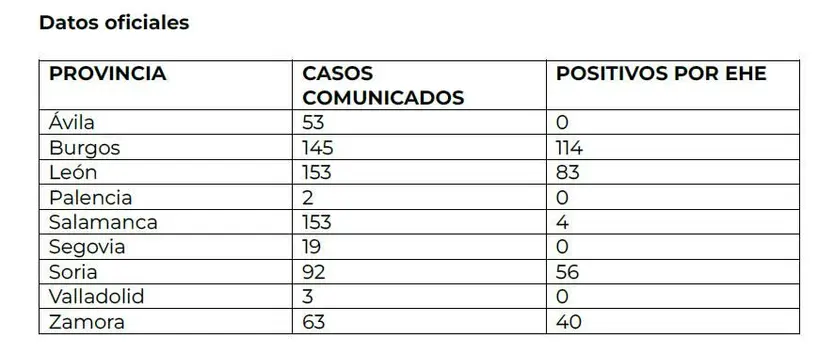 Sin título