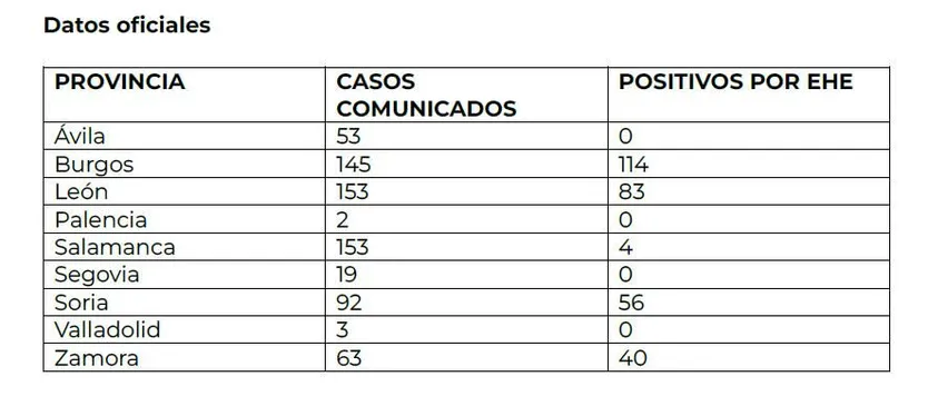 Sin título