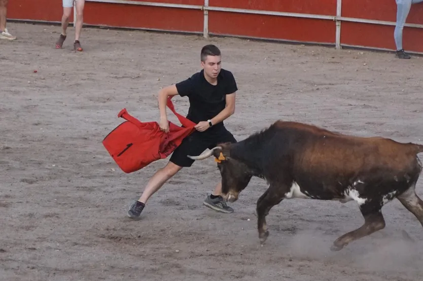 Las vaquillas hacen las delicias de los asistentes en Santa Marta de Tormes