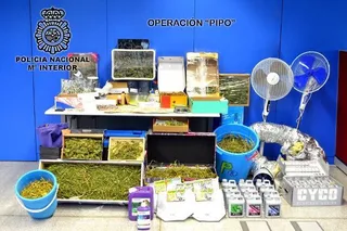Marihuana