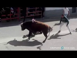 Susto en el toro del cajón de Cantalpino