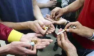 El consumo de cannabis aumenta durante el último año