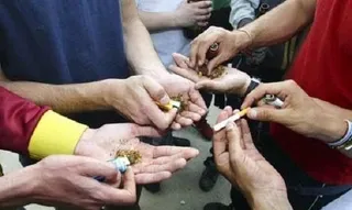 El consumo de cannabis aumenta durante el último año