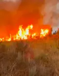 Dos incendios activos en Salamanca movilizan a 13 medios y un helicóptero