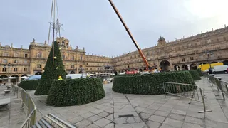 GALERÍA | El enorme árbol de Navidad ya viste la Plaza Mayor de Salamanca