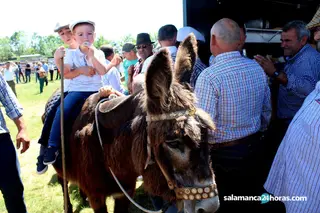 Feria Ganadera de Lumbrales antes de la pandemia