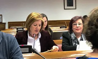 Foto Comisión de Cultura del Senado