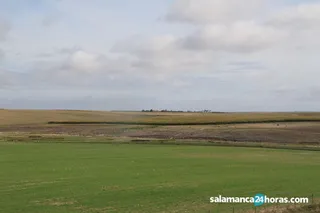 Campo septiembre (3)