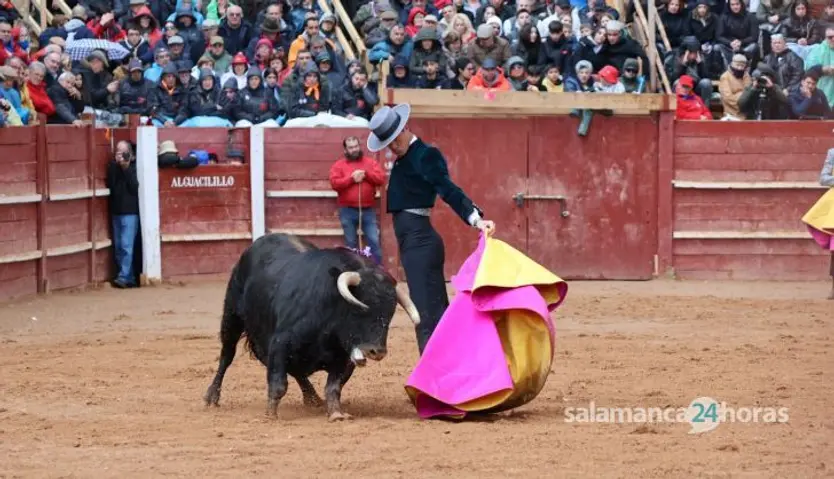 Festival taurino con picadores con toros de Talavante para Miguel Ángel Perera, Daniel Luque, Manuel Disoleguarde en Ciudad Rodrigo