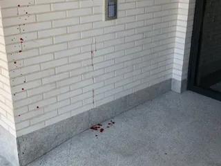 Pelea en Licenciado Vidriera 7