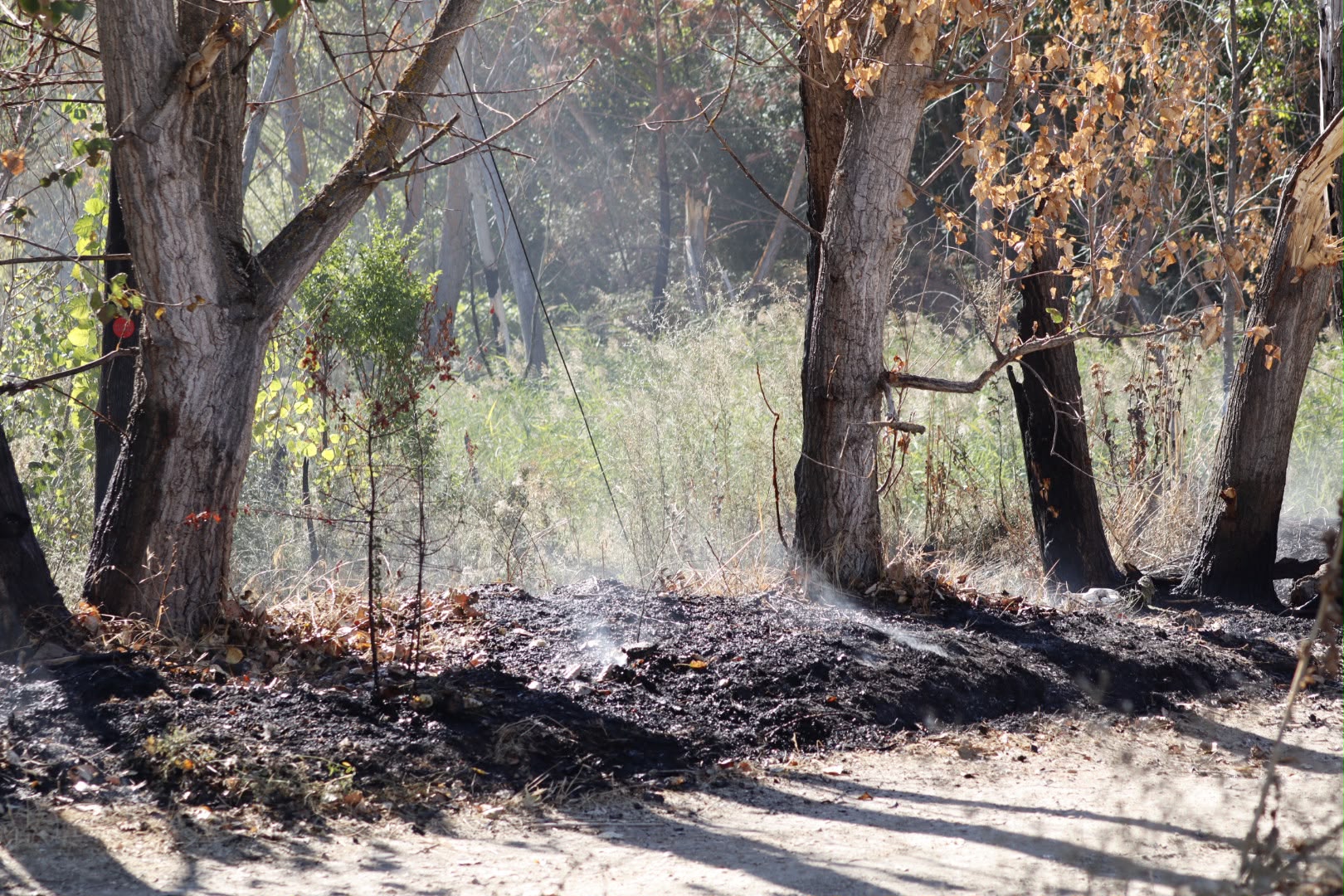 Incendio en las Vi&ntilde;as. Santa Marta.