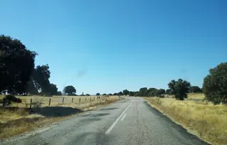 Tramo de la SA 305 entre Ledesma y el límite con la provincia de Zamora (2).