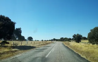 Tramo de la SA 305 entre Ledesma y el límite con la provincia de Zamora (2).