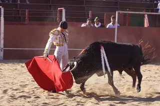 Novillada sin picadores en Carrascal de Barregas