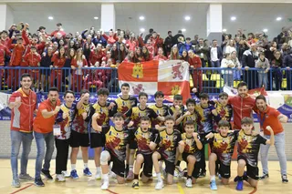 Selecciones de Castilla y León de Balonmano