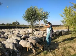 Jóvenes ganaderos con ovejas. Foto EP
