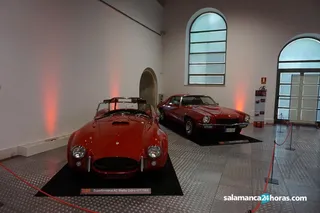 Exposición rojo mhas (26)