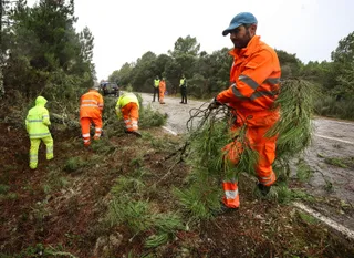 Operarios del servicio de mantenimiento de carreteras retiran varios árboles caídos en la carretera que une Fuenteguinaldo con Navasfrías - Vicente (ICAL)