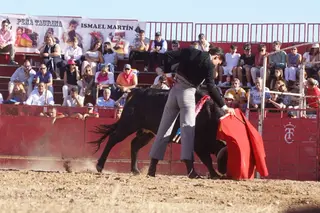La Vellés disfruta de una tarde triunfal en su festival taurino sin picadores