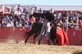 La Vellés disfruta de una tarde triunfal en su festival taurino sin picadores
