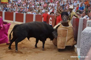 Toros Guijuelo 15 8 2018 (70)