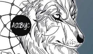 IV Concentración Ruedas contra el Bullying de ASCBYC