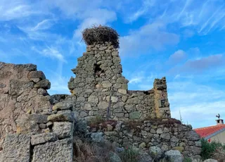 Palacio de la Encomienda Zamayón 2