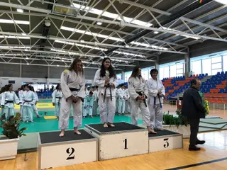 Campeonato autonómico Judo (30)