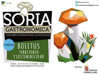Castilla y León se posiciona como referente internacional en turismo micológico