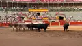 Desenjaule de la Feria Taurina de Salamanca 2026
