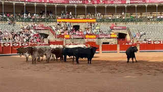 Desenjaule de la Feria Taurina de Salamanca 2026