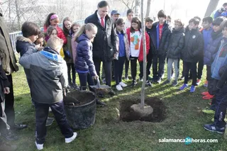 Plantación de árboles (16)