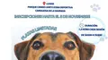 Abierto el plazo de inscripción para los micro talleres de adiestramiento canino de Carbajosa de la Sagrada - Ayuntamiento de Carbajosa